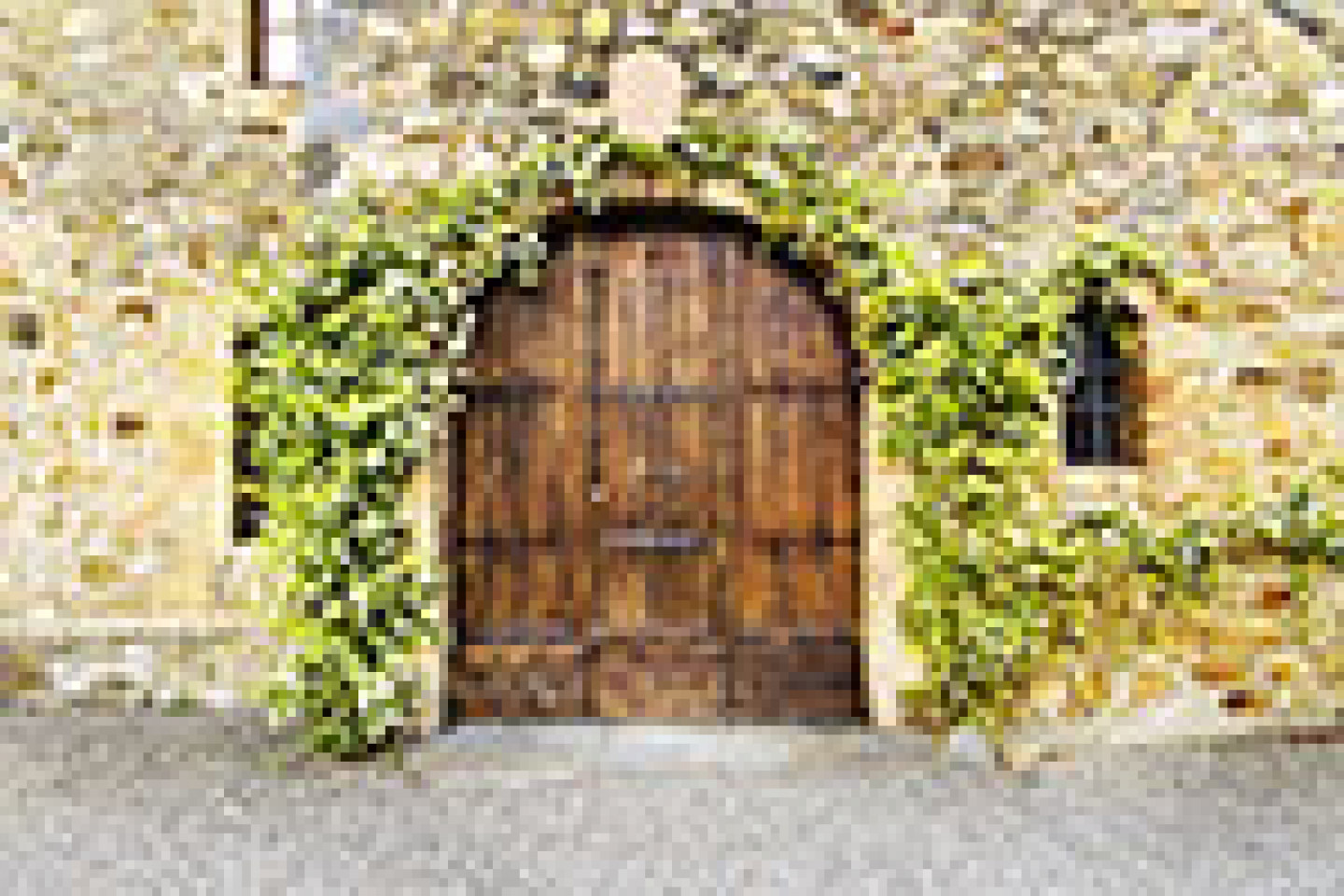 Fotolia_65257401_X