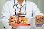 Haarwurzeltransplantation_umsatzsteuerfrei_kl