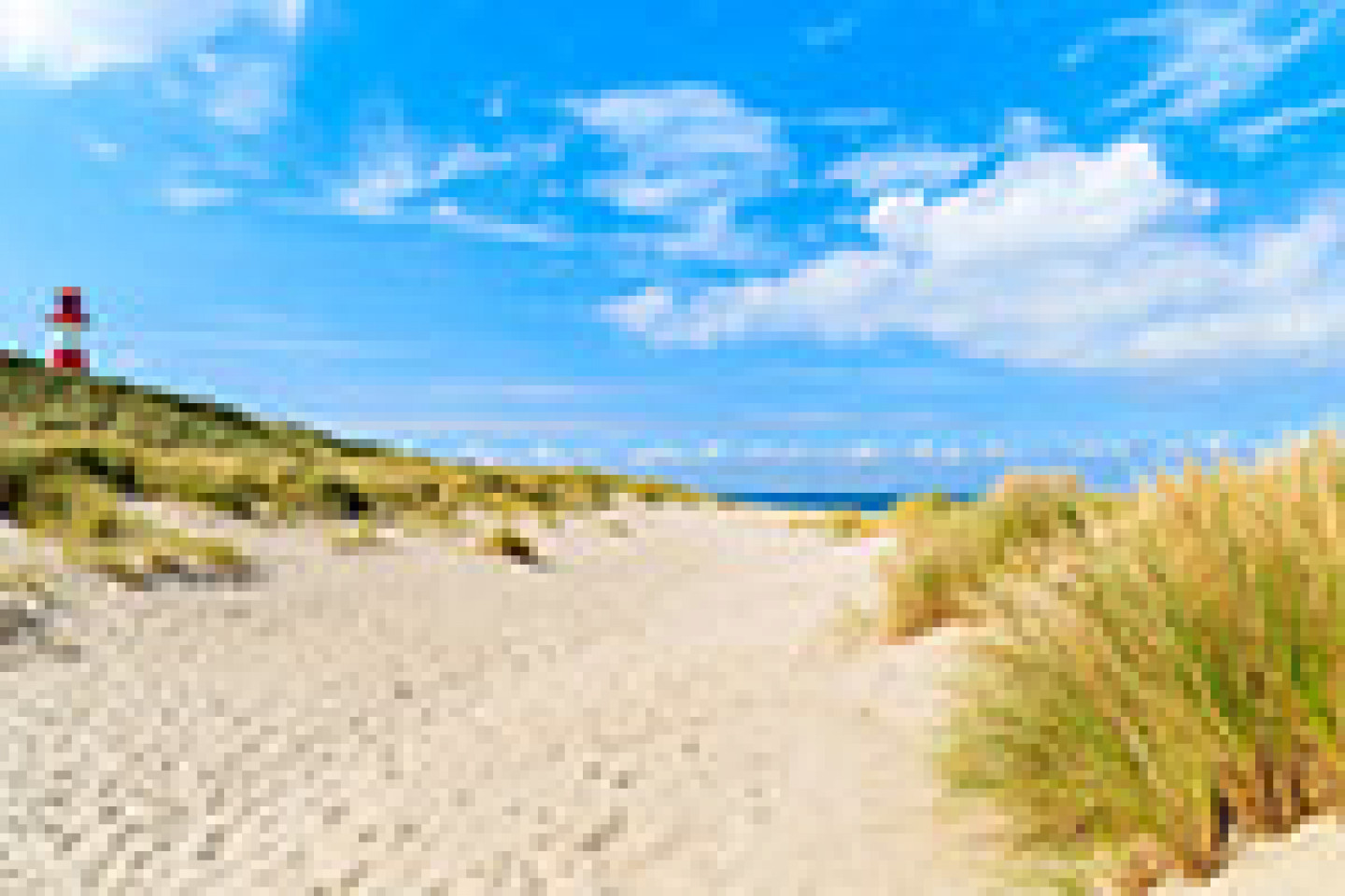 Fotolia_145144659_X