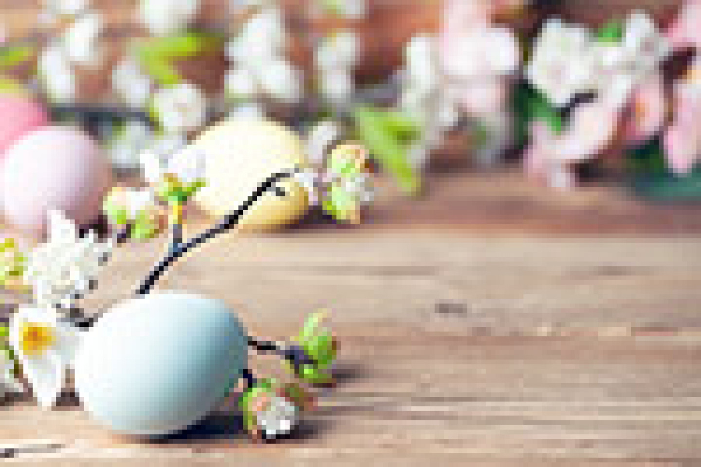AdobeStock_253175090_Seite1