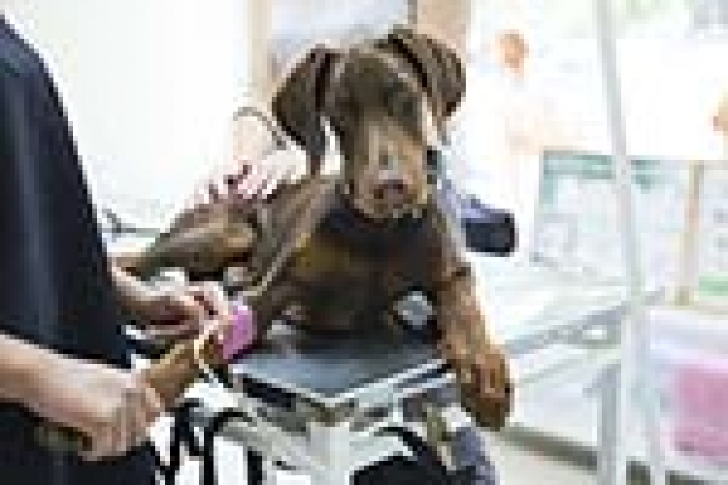 Fotolia_91548303_X_Seite3