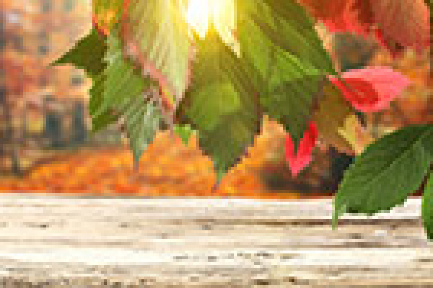 Fotolia_90923511_X