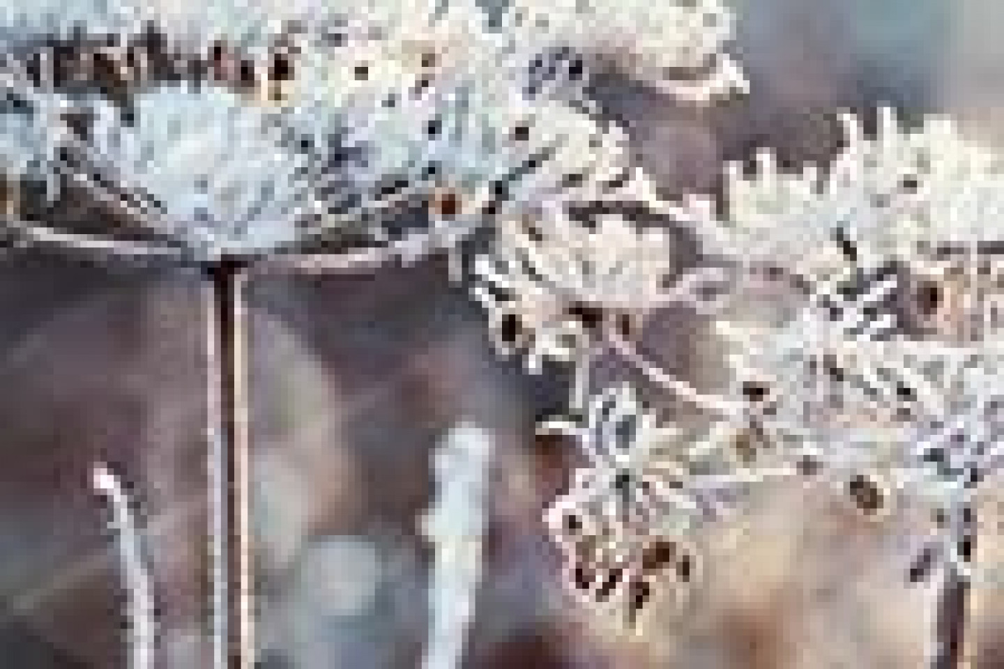 Fotolia_128496794_X_Seite1
