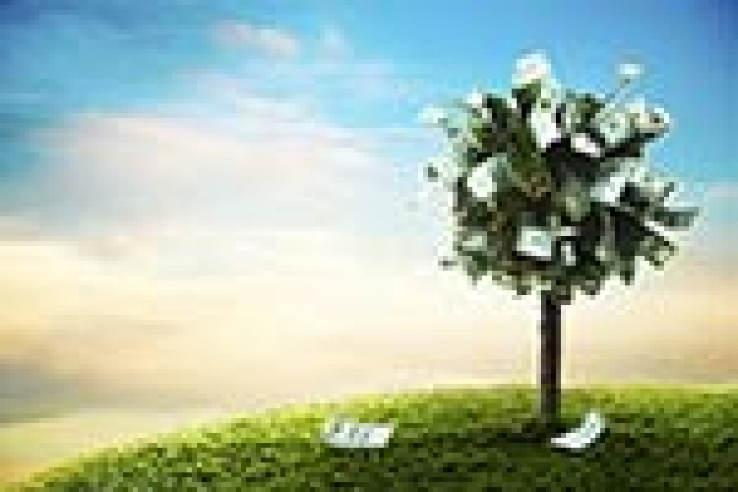Fotolia_50809368_X