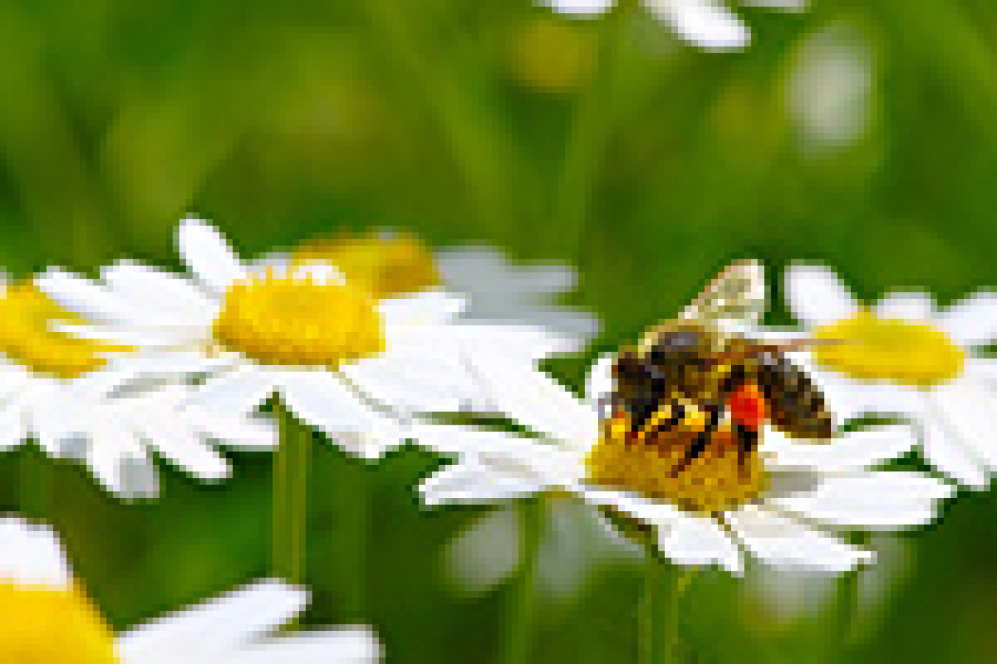 Fotolia_190086714_X_Seite1