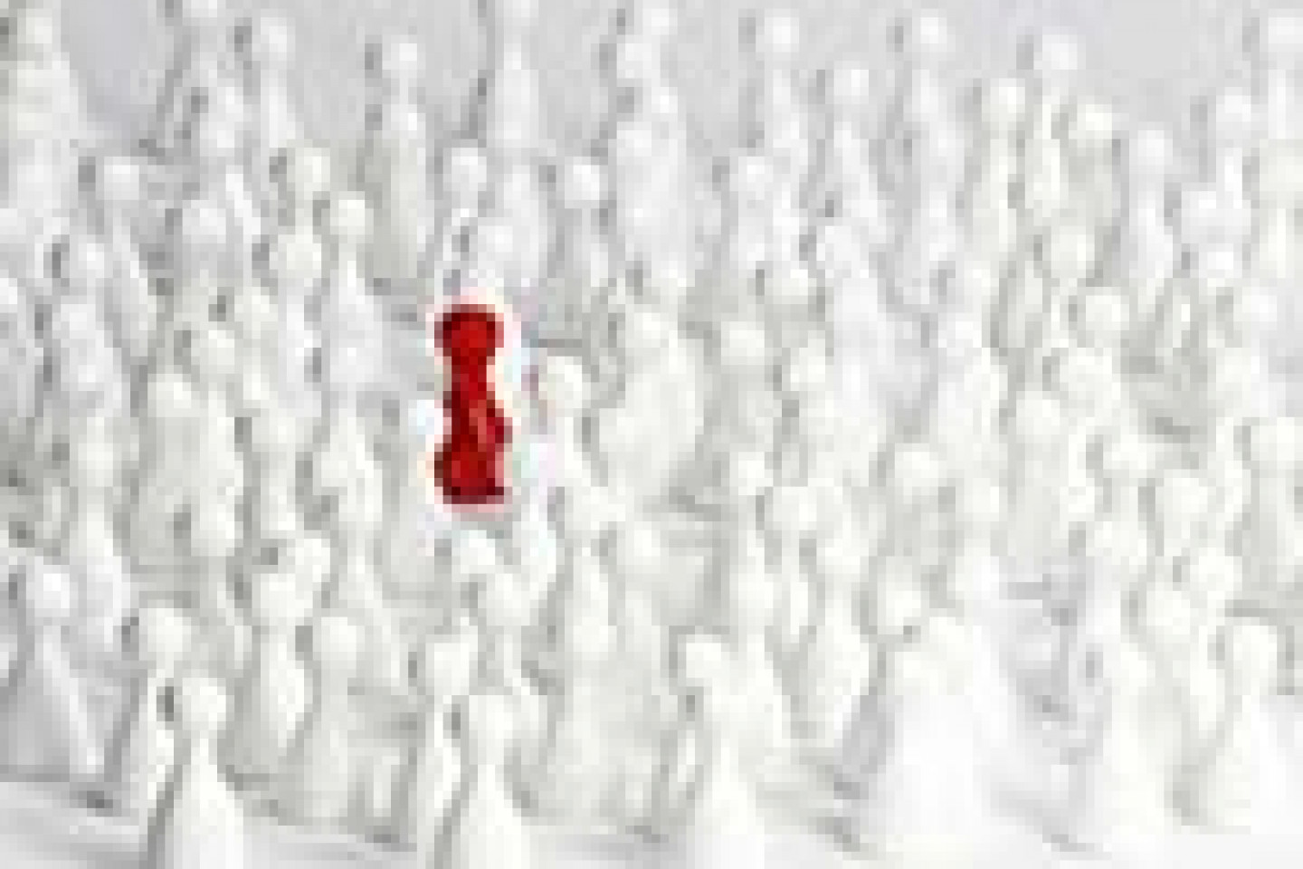 Fotolia_49937168_X