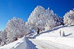 Fotolia_47721904_X