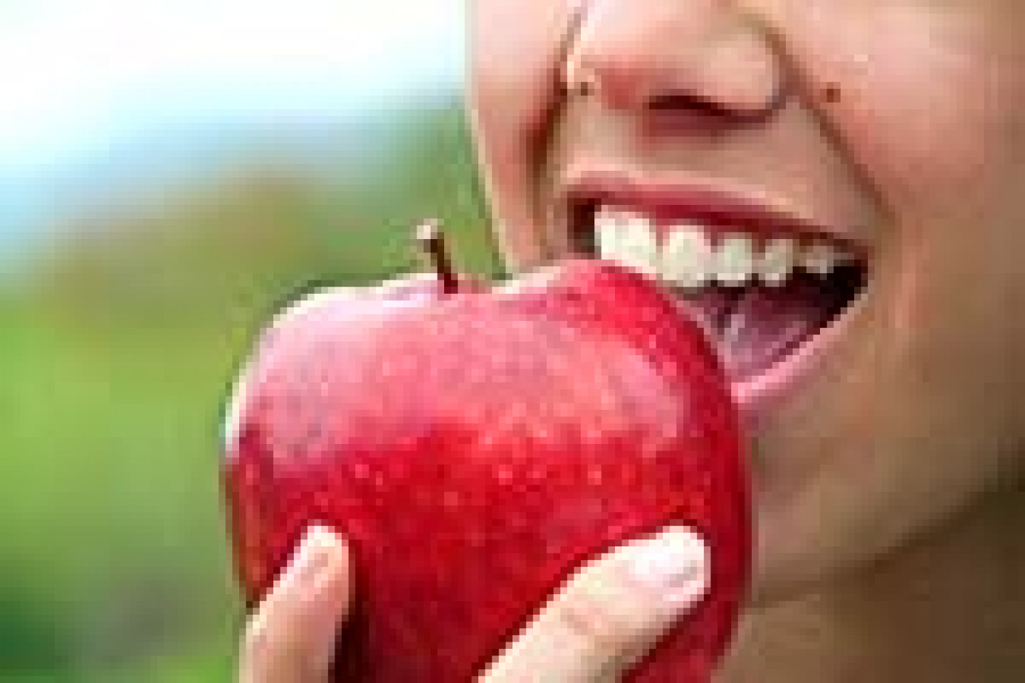 Fotolia_40360028_X