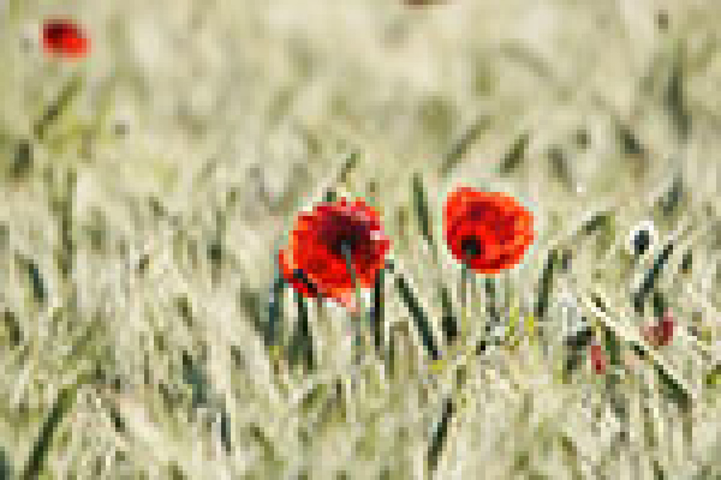 Fotolia_66110947_X_Seite_1