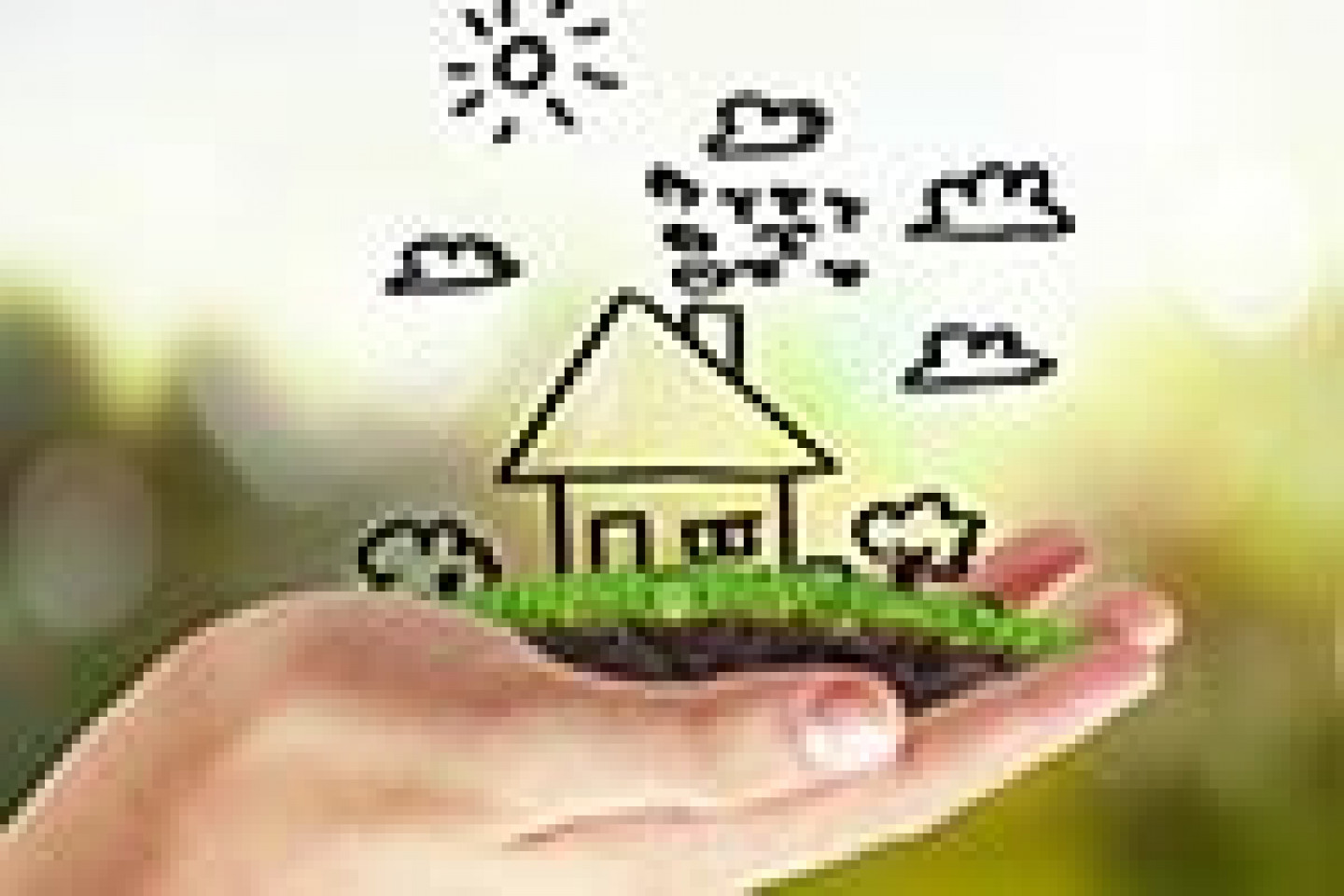 Fotolia_77797115_X