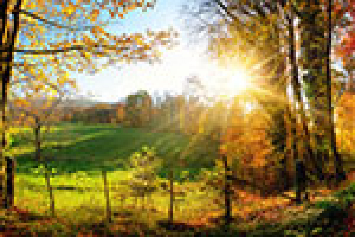 Fotolia_119058776_X_Seite1