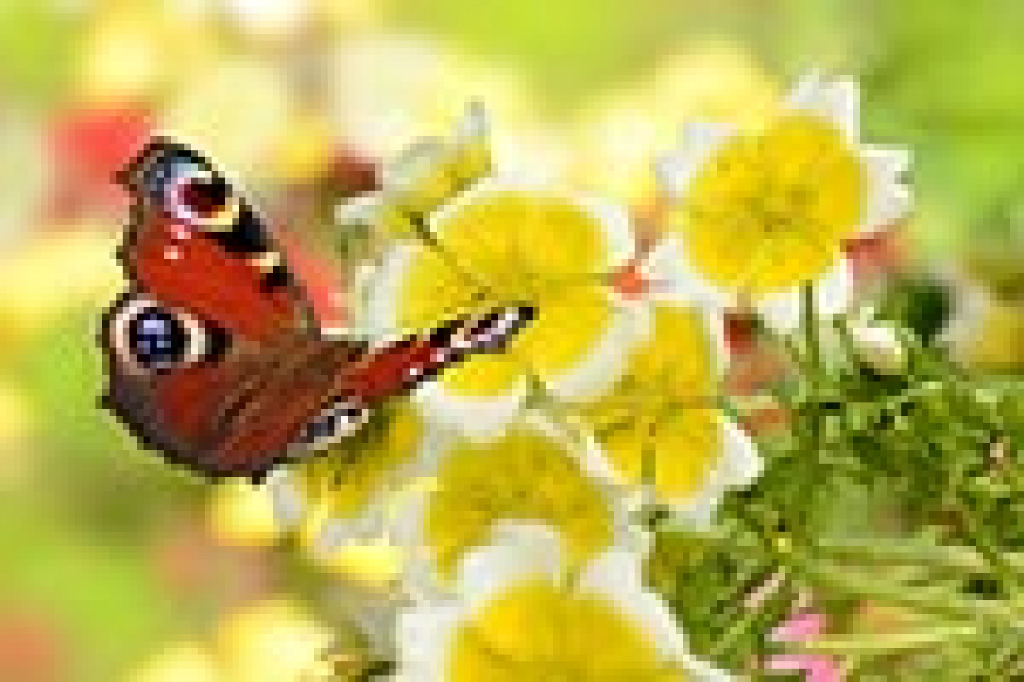 Fotolia_109731609_X_Seite1