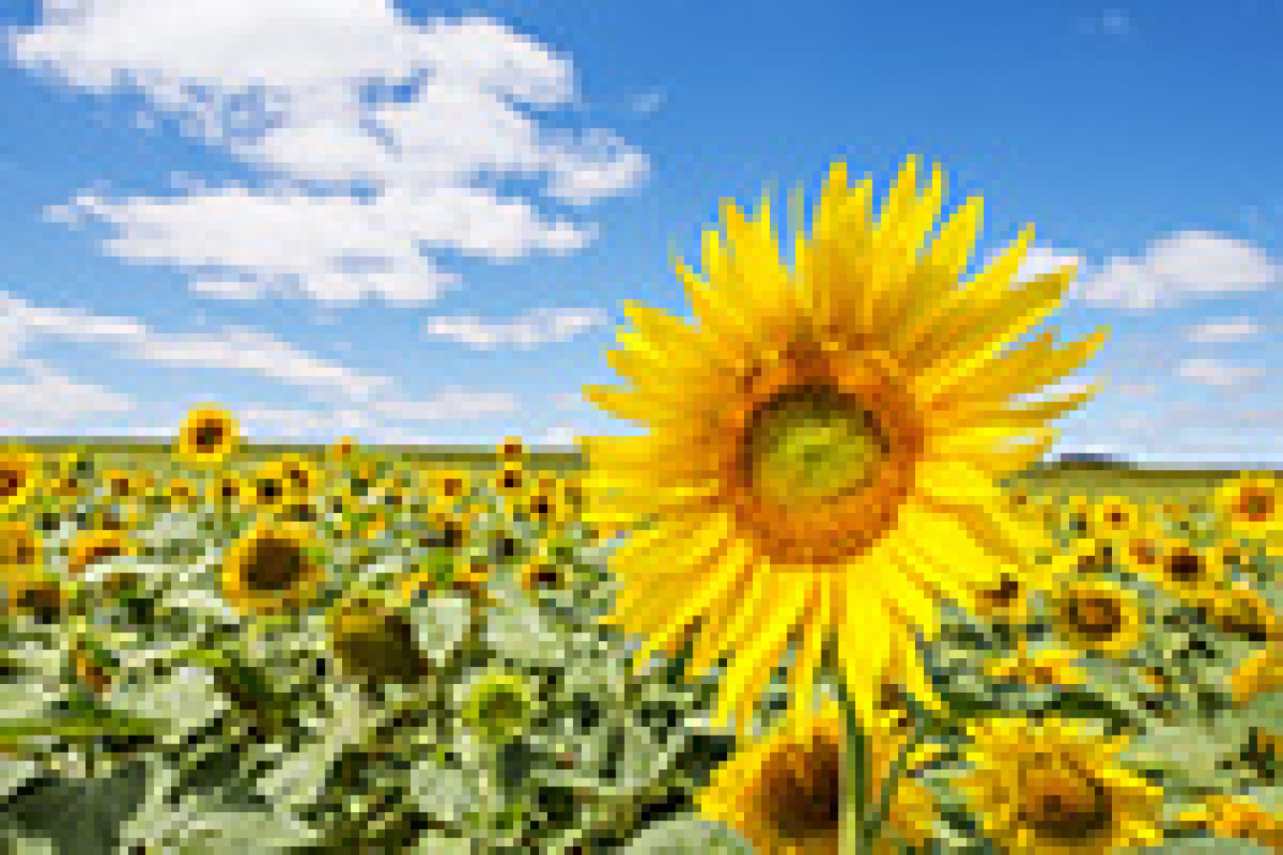 AdobeStock_54920678_Seite-1